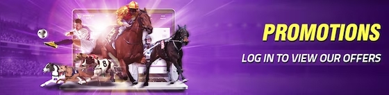 Winners bet promos